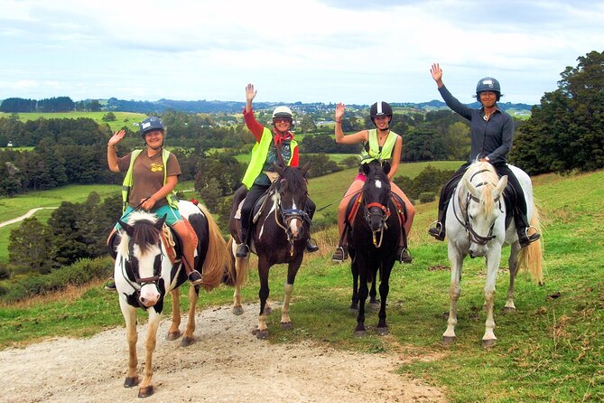 Matakana Art & Horse Riding Experience Private Tour From Auckland - Recommended for Travelers