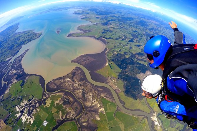 Matakana Art, Wine & Kiwi Discovery Experience - Private Tour - Kiwi Watching Adventure