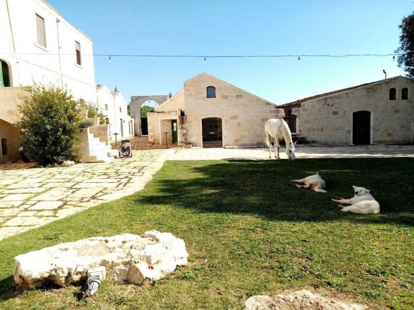 Matera: Sunset Horseback Riding Tour on Murgia - Whats Included