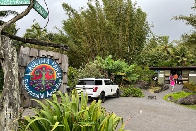 Maui by Storm: Epic Private Luxury Road to Hana Adventure Tour - Local Cuisine and Tasting Experiences