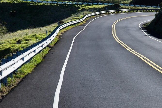 Maui Haleakala Day Bike Tour With Mountain Riders From 6500 to Sea Level - Safety Measures and Support