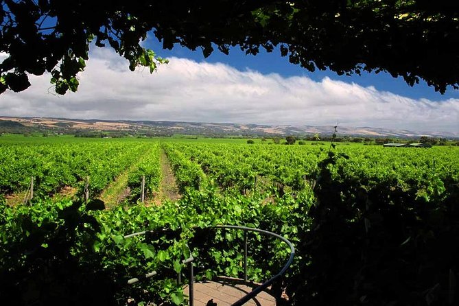 Mclaren Vale Winery Small Group Tour With Wine Tasting and Lunch - Cancellation Policy