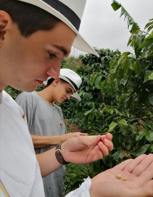 Medellín Coffee Farm Tour With Trolley and Cable Car Ride - Community Engagement