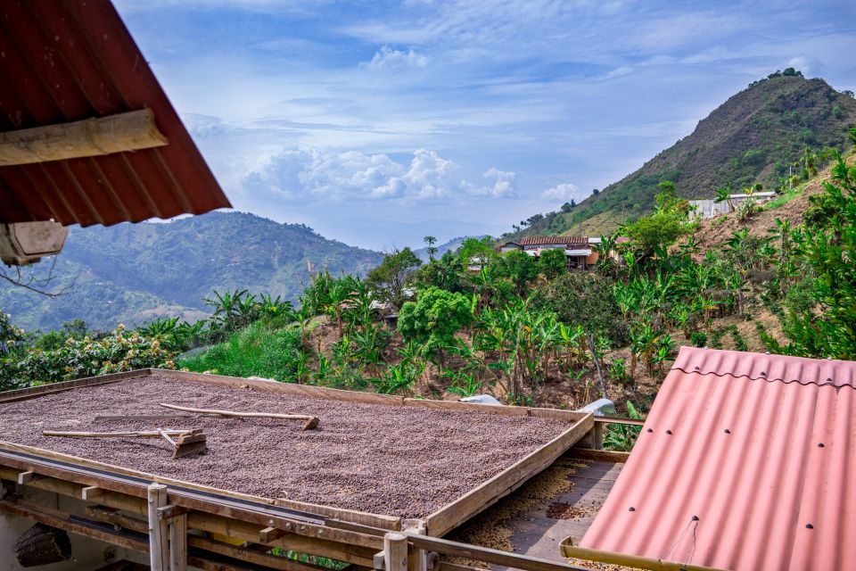 Medellín: Coffee Tour With Tastings and Lunch - Tasting Experience