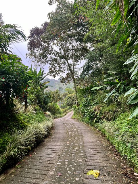Medellin: Electric Mountain Bike (Ebike) - Adventure Route - Scenic Landscapes and Wildlife
