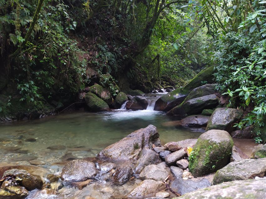 Medellin: Half–Day Private Nature Tour & Waterfall Hike - Important Information