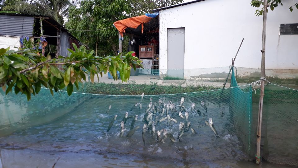 Mekong Day Tour by Car:Cai Be Market, Local Island & Cycling - Local Business Visits