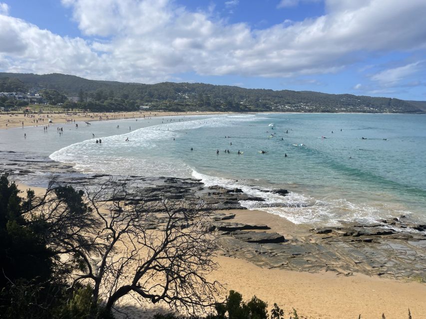 Melbourne: Great Ocean Road Day Trip With Rainforest Visit - Tour Description