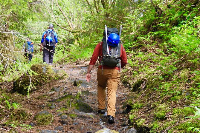 Mendenhall Glacier Guided Hike - Health and Safety Guidelines