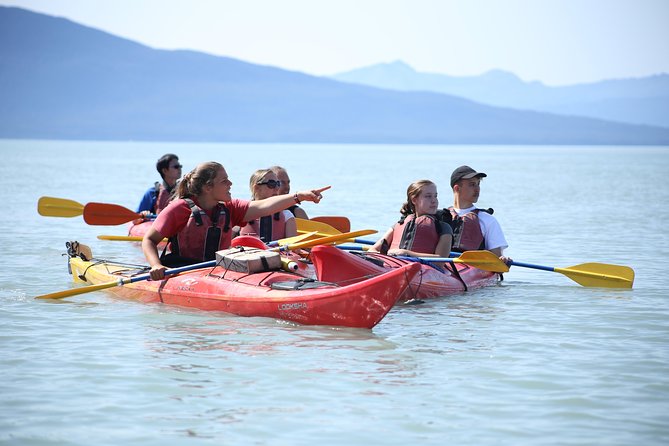 Mendenhall Glacier View Sea Kayaking - Participation Requirements