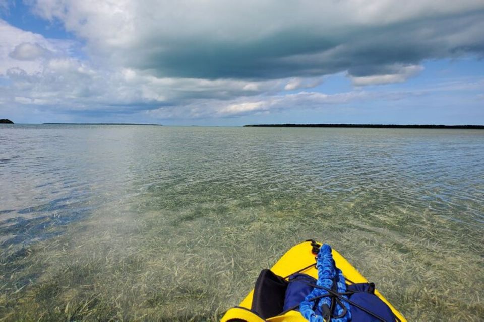 Miami: Everglades National Park Hiking and Kayaking Day Trip - Naturalist-Led Hiking Tour