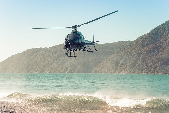 Milford and Fiordland Highlights Tour by Helicopter From Queenstown - Important Information