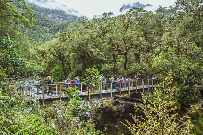 Milford Sound Coach & Cruise Tour From Te Anau - Meeting and End Points
