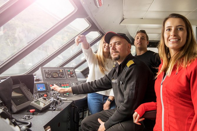 Milford Sound Scenic Flight and Nature Cruise - Wildlife Encounters