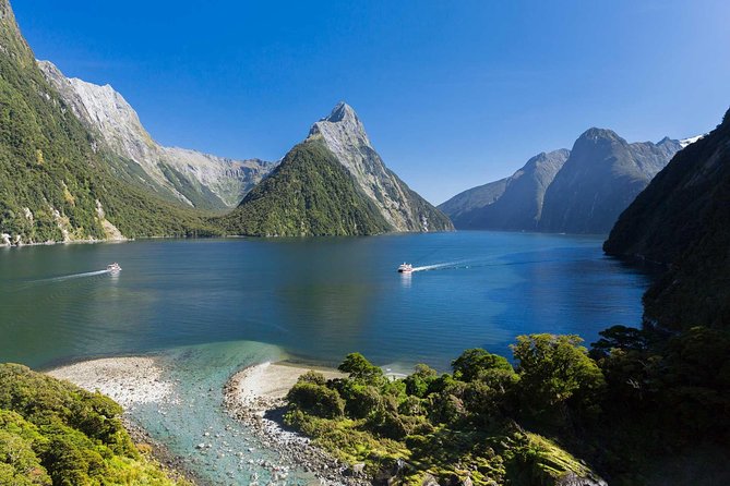 Milford Sound Sightseeing Cruise With Optional Picnic or Buffet - Guest Experiences and Reviews