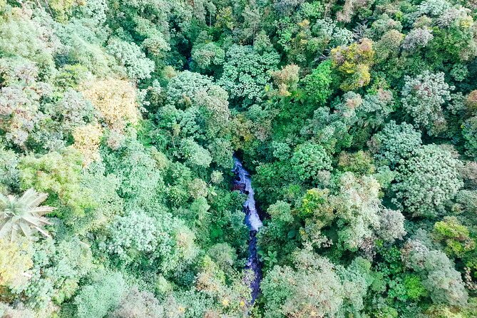 Mindo Cloud Forest Full Day Tour From Quito - Tips for a Great Experience