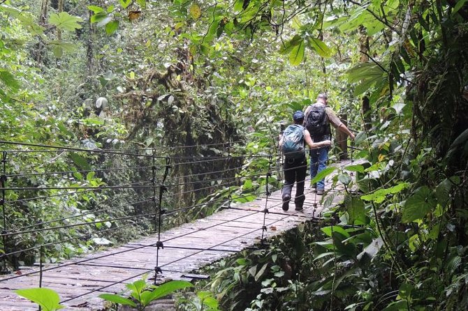 Mindo Cloud Forest Private Day Tour - Health and Safety Measures