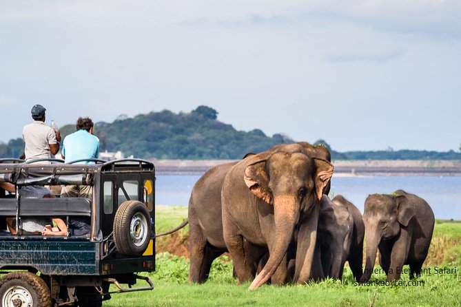 Minneriya Elephant Safari Wth Sigiriya & Dambulla Cave Temples Full Day Tour - Dambulla Cave Temples