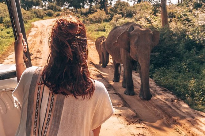 Mirissa to Ella Shuttle & Safari Drive - Tips for a Great Experience