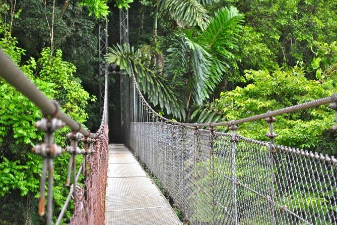 Mistico Hanging Bridges Park From La Fortuna - Nearby Attractions and Activities