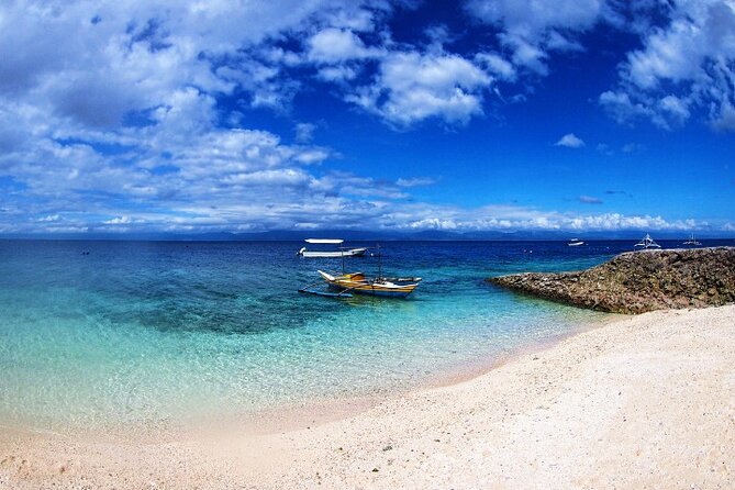 Moalboal Sardines Run Private Tour - Meeting Point and Duration