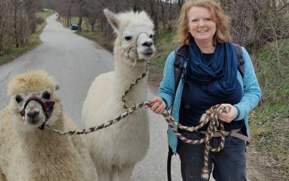 Mödling: Scenic Guided Hike With Alpacas and Llamas - Exclusions to Consider