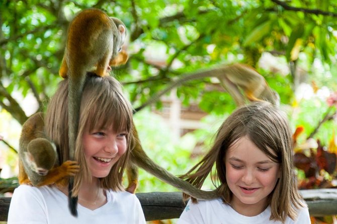 Monkeyland and Plantation Safari Tour From Punta Cana - Group Size and Capacity