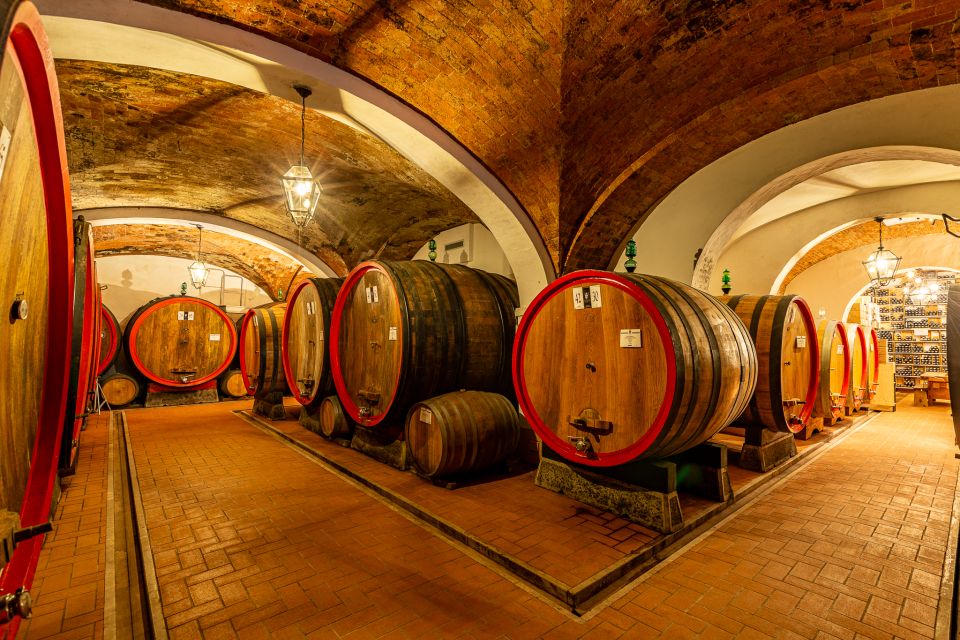 Montepulciano: Guided Winery Tour With Tasting & Appetizers - Tips for Your Visit