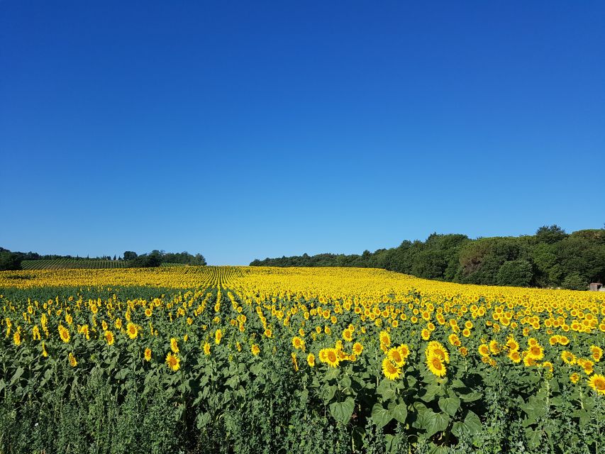 Montepulciano: Tuscan Winery Tour With Wine Tasting & Meal - Romantic Al Fresco Dining