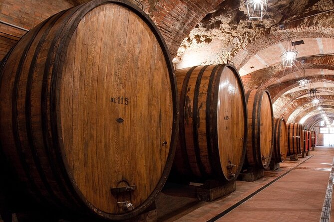 Montepulciano: Winery Tour & Tasting Experience - Customer Feedback and Reviews