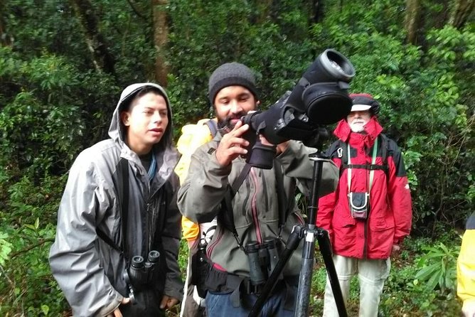 Monteverde Birdwatching Experience - Participant Experiences