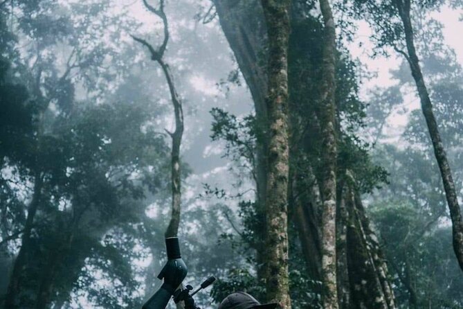 Monteverde Cloud Forest Nature Tour - Best Time to Experience