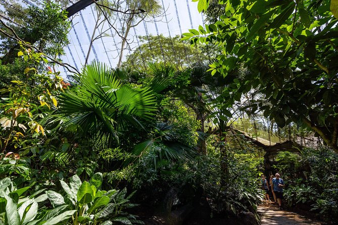 Morning at the Zoo With Transfer - Guide Narration and Commentary