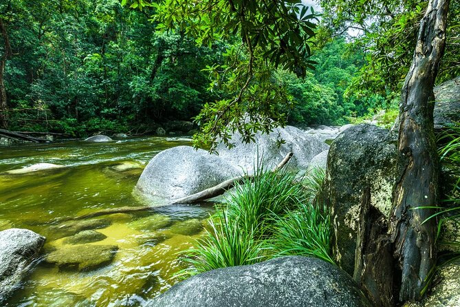 Morning Daintree River and Mossman Gorge From Port Douglas - Customer Reviews and Ratings