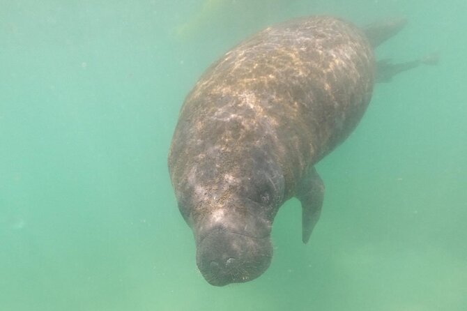 Morning Kayak Tour in Condado Lagoon - Lagoons History and Ecosystem