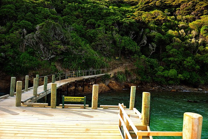 Motuara Island Bird Sanctuary and Ship Cove Cruise From Picton - Wildlife and Scenery