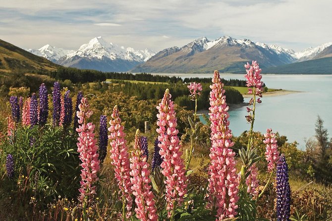 Mount Cook Day Tour From Christchurch - Traveler Feedback