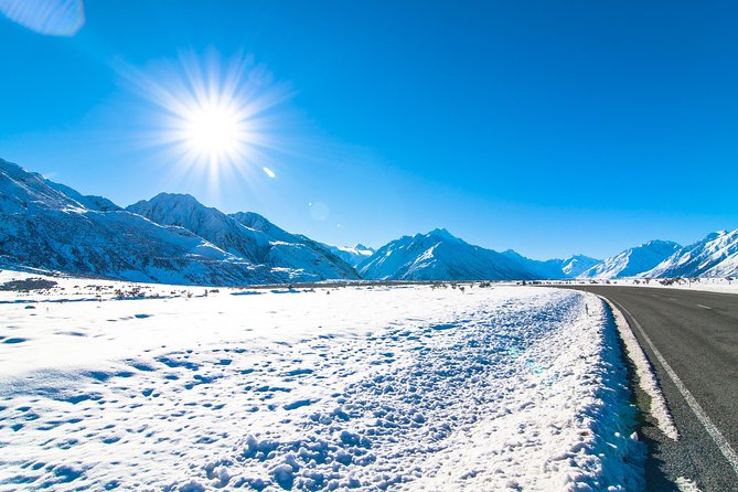 Mount Cook Lake Tekapo & Tasman Glacier Private Tour - Customer Testimonials and Reviews