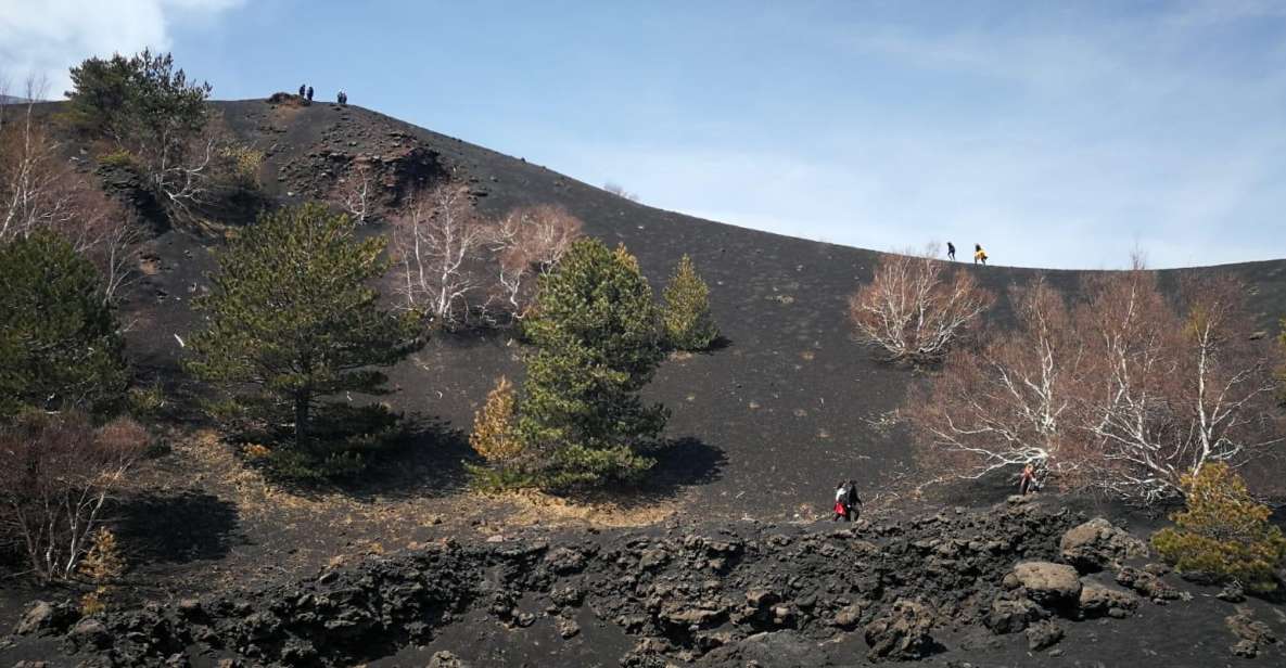 Mount Etna: DAWN TREKKING - Not Suitable For