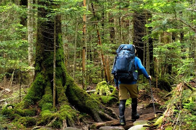 Mount Fansipan 2 Days Trek – Roof of Indochina - Health and Accessibility