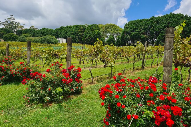 Mount Tamborine Wine Tasting Tour From Brisbane or the Gold Coast - Dietary and Accessibility Options