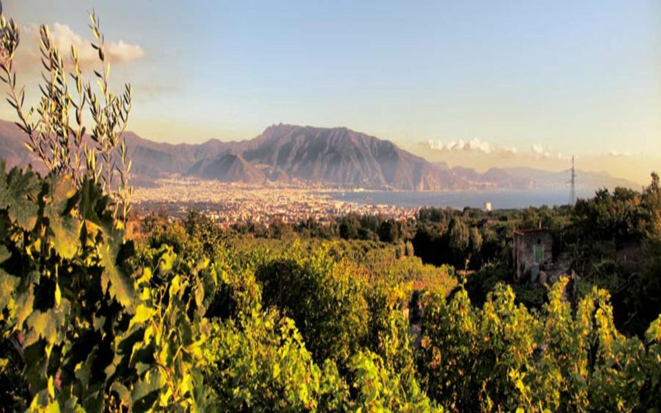 Mount Vesuvius Wine Tasting and Lunch From Pompeii - Frequently Asked Questions