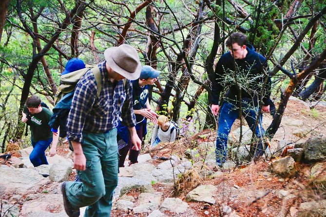 Mountain Folklore Hike With Buddhist Temple and Hiker Restaurant - Lunch at Korean Restaurant