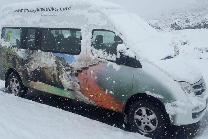 Mt Cook Small Group Tour From Queenstown With Optional Activities - Customer Experiences and Feedback