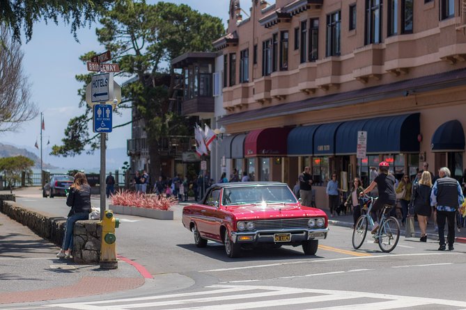 Muir Woods & Sausalito Half-Day Tour (Return by Bus or Ferry From Sausalito) - Accessibility Information