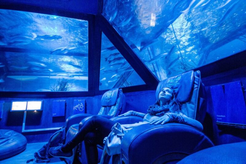 Munich: Day Ticket to Sea Life - Location and Directions
