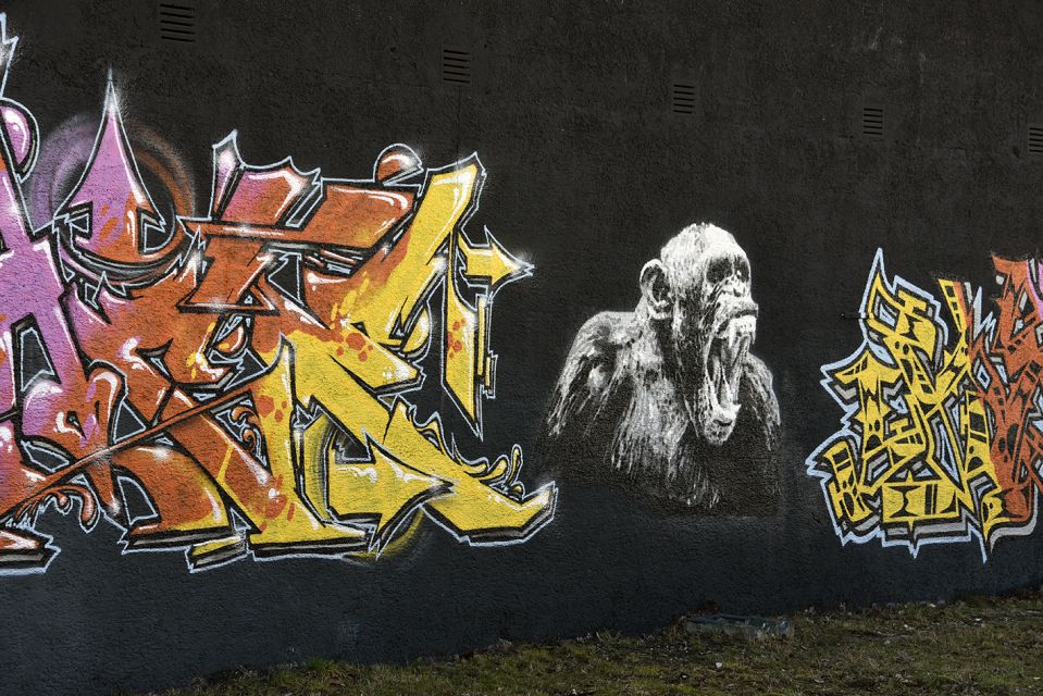 Munich: Street Art Bike Tour - Booking Information