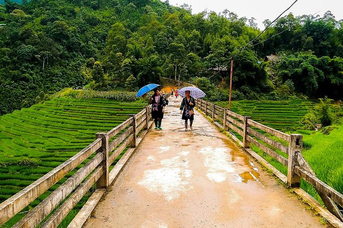 Muong Hoa Valley Trek & Homestay Experience - 4D3N - Trekking Challenges and Tips