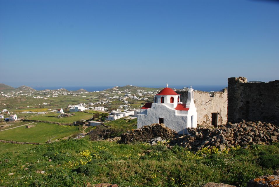 Mykonos Shore Excursion: City & Island Tour - Inclusions of the Tour