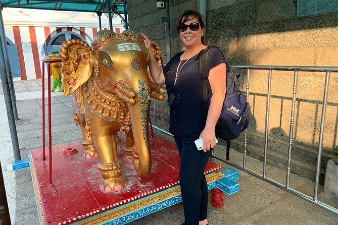 Mylapore Walking Tour by Wonder Tours - Accessibility Information